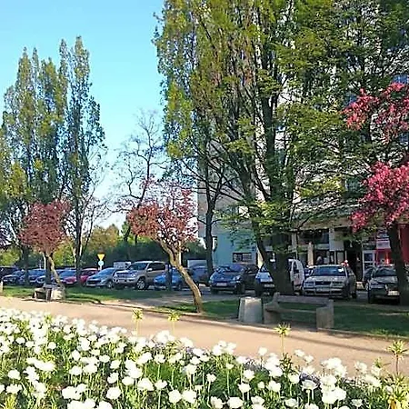 Hello * Gdynia