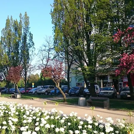 بيت شباب Hello غدينيا