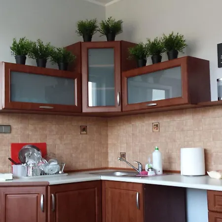 بيت شباب Hello *