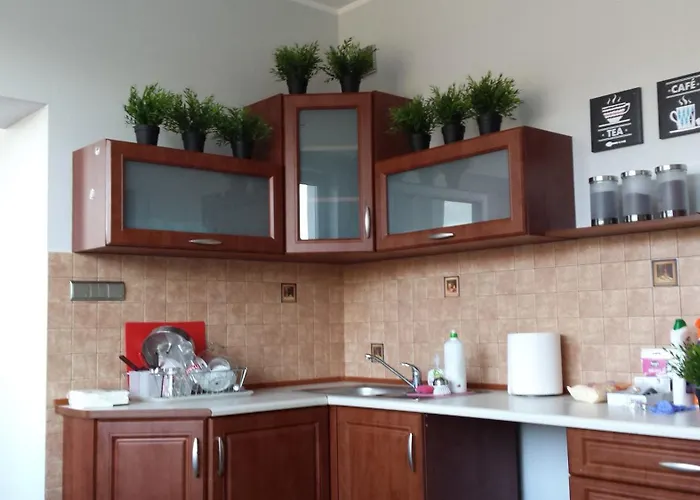 بيت شباب Hello *